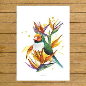 Tropical, Birds, Bird of Paradise, Giclée Print, Watercolor Illustration, Home Decor, Nursery Decor, A5, 8.5&quot;x11&quot;, A4, A3, 13&quot;x19