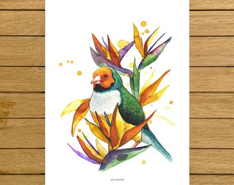 Tropical, Birds, Bird of Paradise, Giclée Print, Watercolor Illustration, Home Decor, Nursery Decor, A5, 8.5"x11", A4, A3, 13"x19