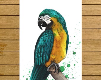 Macaw Print, Tropical Bird, Birds Art, Giclée Print, Watercolor Illustration, Home Decor, Nursery Decor, Tropical Home Decor, Tropical Room
