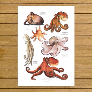 Octopus Poster, Octopuses, Watercolour Illustration, Giclée Quality Print, Home decor, Nursery Decor, Kids Room, Ocean Poster, Home Decor