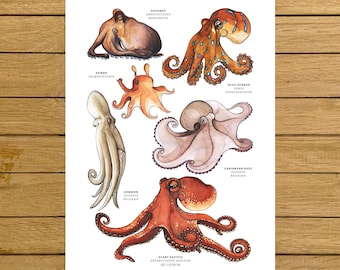 Octopus Poster, Octopuses, Watercolour Illustration, Giclée Quality Print, Home decor, Nursery Decor, Kids Room, Ocean Poster, Home Decor