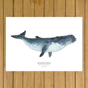 Humpback Whale Print, Whale Wall Art Decor, Whale Print, Giclée Print, Watercolor Illustration, Wall Art, Home Decor, Nursery Decor