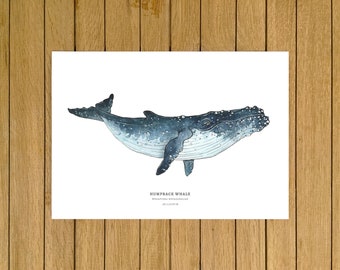 Humpback Whale Print: Watercolor Giclée Art, Nursery Decor