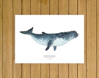 Humpback Whale Print, Whale Wall Art Decor, Whale Print, Giclée Print, Watercolor Illustration, Wall Art, Home Decor, Nursery Decor