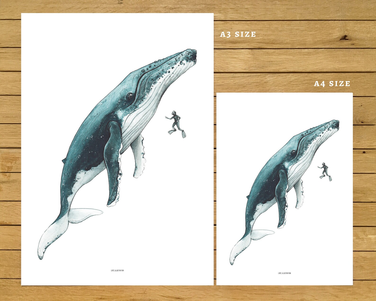Humpback Whale &amp; Diver Print Humpback Whale Art Whale - Etsy