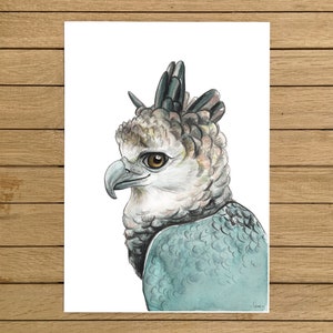 Harpy Eagle Print, Birds of Prey, Bird Art, Giclée Print, Watercolor Illustration, Wall Art, Home Decor, Nursery Wall Decor, Blue Room Decor