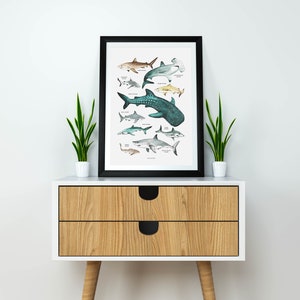 Sharks Poster, Sharks Print, Shark Species, Shark Nursery Decor, Kids Room, Wall Art Decor, Beach Home Decor, Ocean Lovers, Shark Wall Art 画像 4