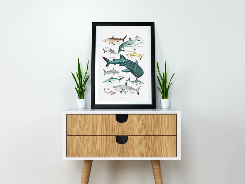 Sharks Poster, Sharks Print, Shark Species, Shark Nursery Decor, Kids Room, Wall Art Decor, Beach Home Decor, Ocean Lovers, Shark Wall Art 画像 4