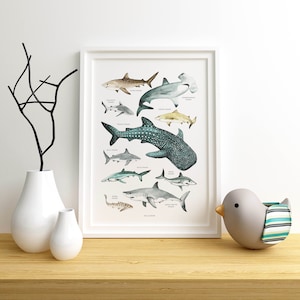 Sharks Poster, Sharks Print, Shark Species, Shark Nursery Decor, Kids Room, Wall Art Decor, Beach Home Decor, Ocean Lovers, Shark Wall Art 画像 8