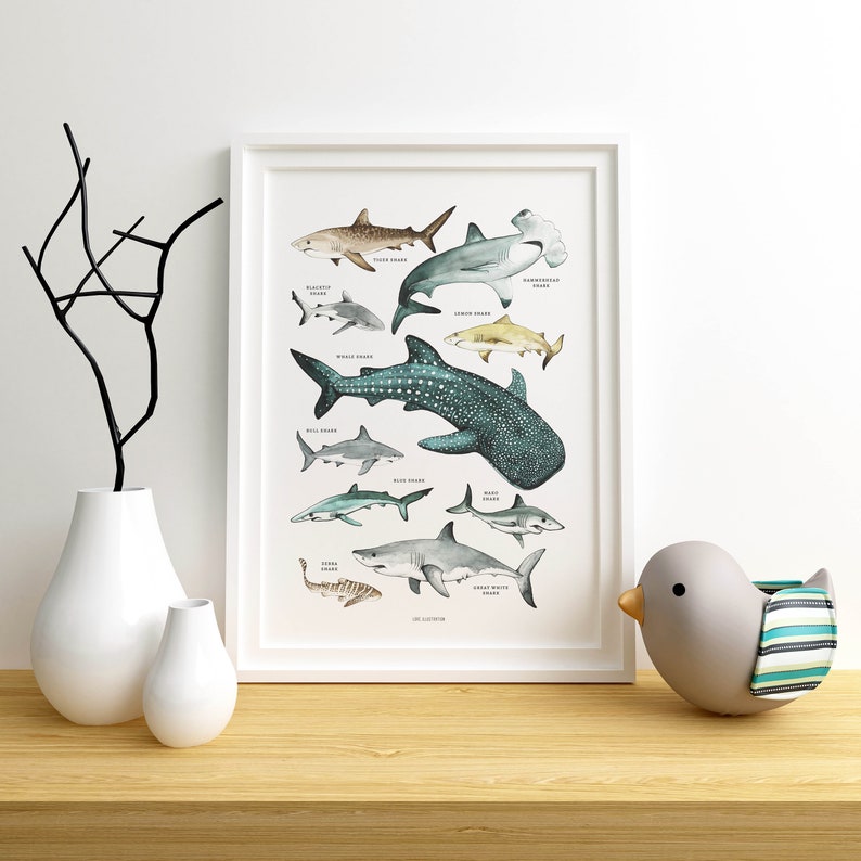 Sharks Poster, Sharks Print, Shark Species, Shark Nursery Decor, Kids Room, Wall Art Decor, Beach Home Decor, Ocean Lovers, Shark Wall Art 画像 8