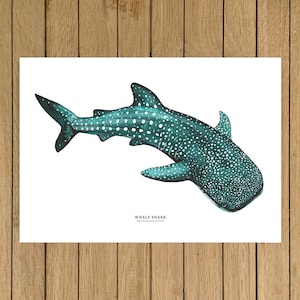 Stampa di squalo balena, stampa murale di squali, stampa giclée, stampa murale oceanica, arredamento per la casa blu, cameretta per bambini, arredamento per la cameretta dei bambini, arredamento per la casa al mare, stampa di squali