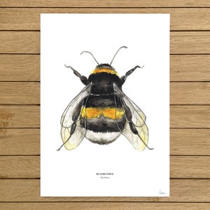 Impresión giclée de acuarela de abejorro: arte de archivo de abejas, decoración infantil