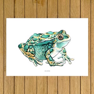 Toad Print, Amphibians Wall Art, Halloween Art, Watercolor Illustration, Giclée Print, Home Decor, Animals Wall Decor, Wall Art Decor
