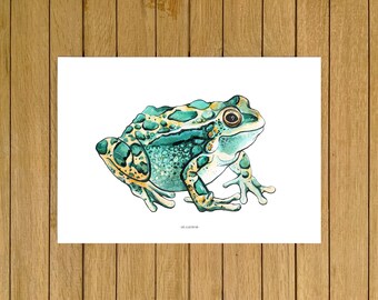 Toad Print, Amphibians Wall Art, Halloween Art, Watercolor Illustration, Giclée Print, Home Decor, Animals Wall Decor, Wall Art Decor