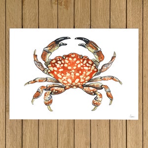 Reef Crab, Crab, Colourful Crab, Giclée Print, Watercolor Illustration, Home Decor, Kids Room, A5, 8.5&quot;x11&quot;, A4, A3, 13&quot;x19