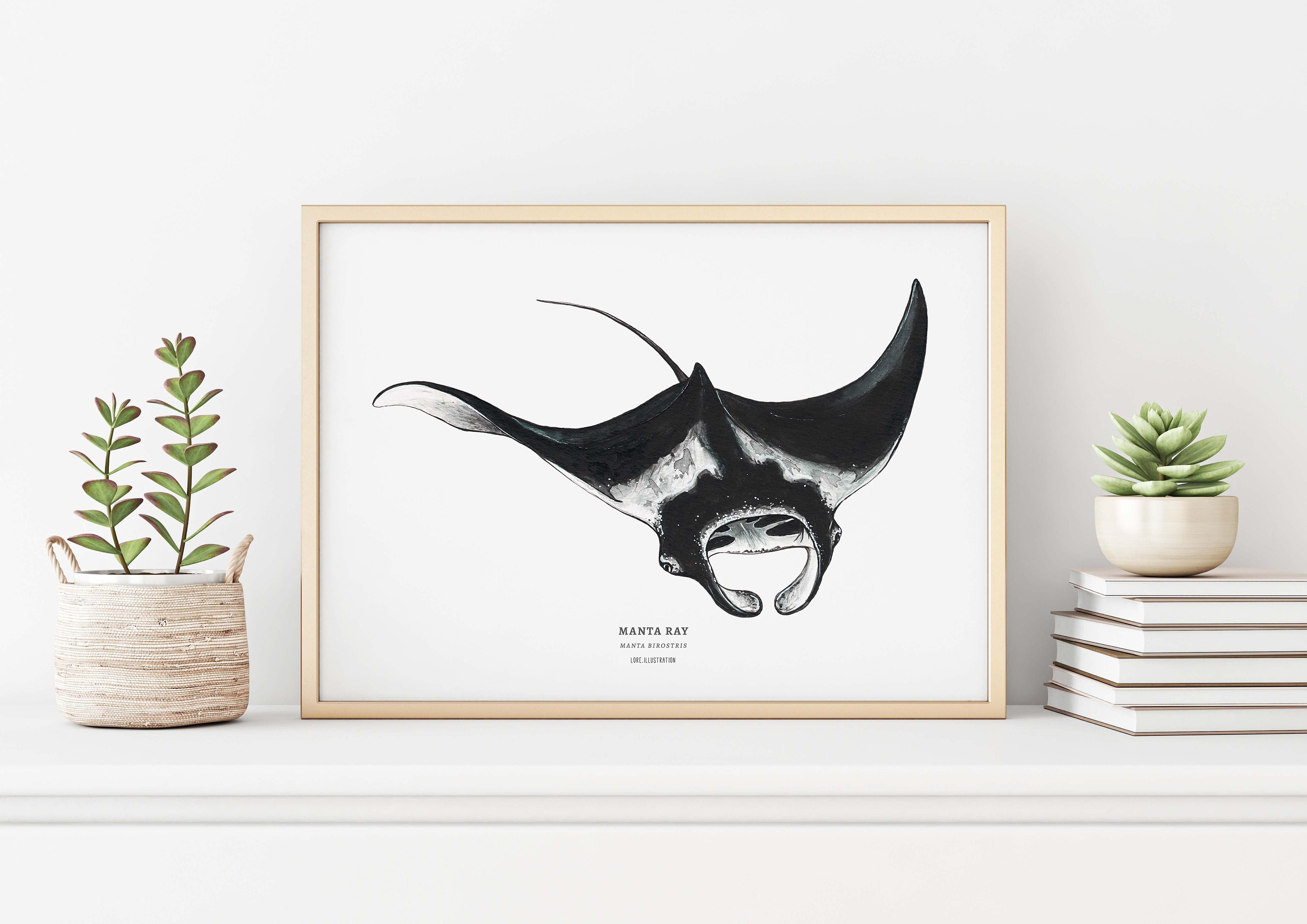 Manta Ray Watercolor Giclée Print: Ocean Nursery Wall Art - Etsy