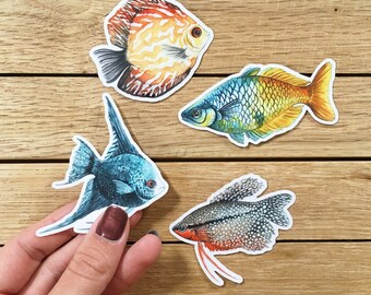 Tropical Fish Reef Ocean Pet Cool Gift #15903 2 x Vinyl Stickers 10cm 
