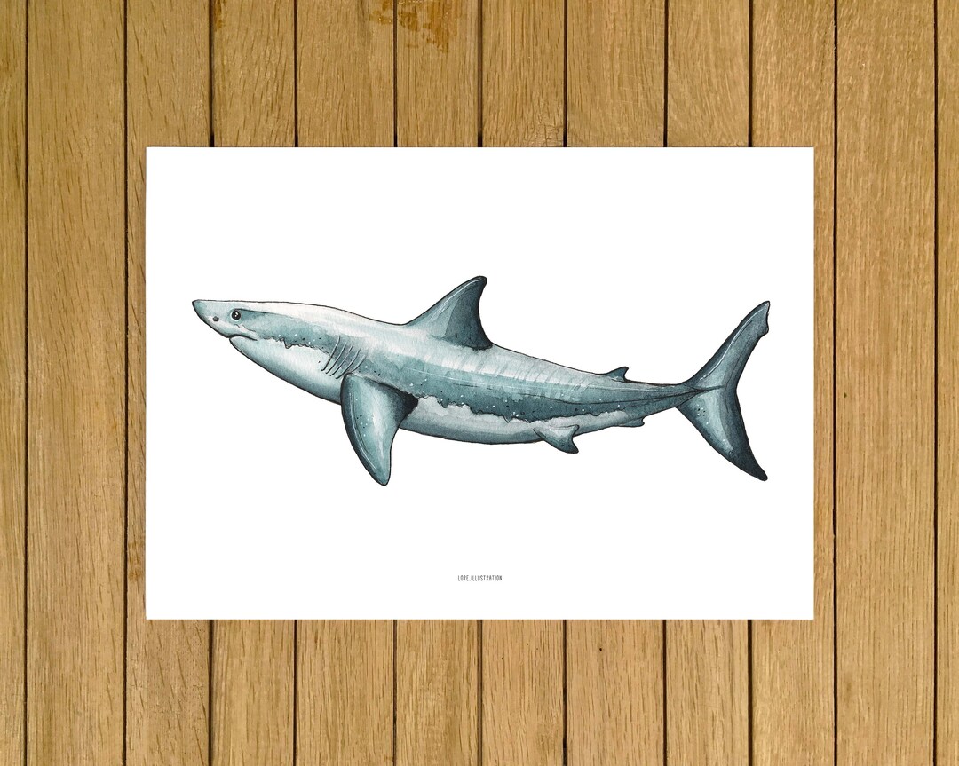 Great White Shark Print, Shark Wall Art, Giclée Print, Ocean Wall Art