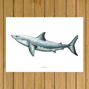 Great White Shark Print, Shark Wall Art, Giclée Print, Ocean Wall Art, Kids Room, Nursery Decor, Beach House Decor, Ocean lover, Shark Print