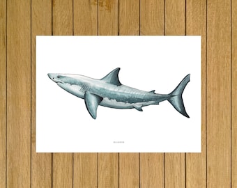 Great White Shark Print, Shark Wall Art, Giclée Print, Ocean Wall Art, Kids Room, Nursery Decor, Beach House Decor, Ocean lover, Shark Print