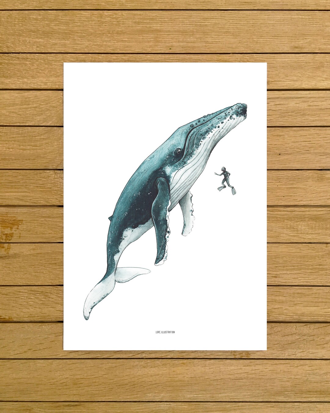 Humpback Whale &amp; Diver Print, Humpback Whale Art, Whale, Giclée Print ...