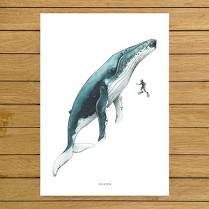 Humpback Whale & Diver Print, Humpback Whale Art, Whale, Giclée Print, Home Decor, Ocean Lovers Gifts, Kids Blue Room Decor, Beach House Art