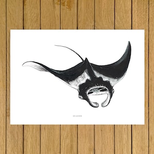 Mantarochen Druck, Ozean, Kunst, Tierarten, Giclée Druck, Aquarell Illustration, Wohndekor, Kinderzimmer, Schwarzweiß Dekor