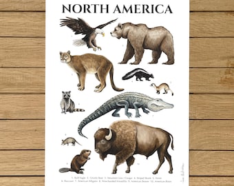 North America Animals, Animals Poster, Nursery Decor, Home Decor, Watercolor Illustration, Giclée Print, Art, A4, A3, A3+, 8.5"x11", 13"x19"