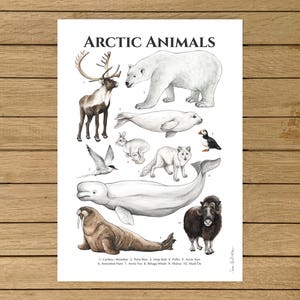 Arktis Tiere Poster, Tiere Kinderzimmer Dekor, Skandinavische Dekoration, Winter Tiere Poster, Giclée Druck, Winter Wandkunst, Wintertiere