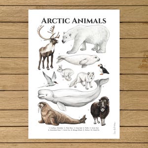 Arctic Animals Poster, Animals Nursery Decor, Scandinavian Home Decor, Winter Animals Poster, Giclée Print, Winter Wall Art, Winter Animals