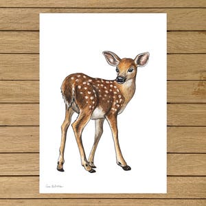 Baby Deer Print, Deer Wall Art, Giclée Print, Baby shower Gift, Baby Animals Art, Home Wall Art, Nursery Wall Decor, Animals Kids Room Decor