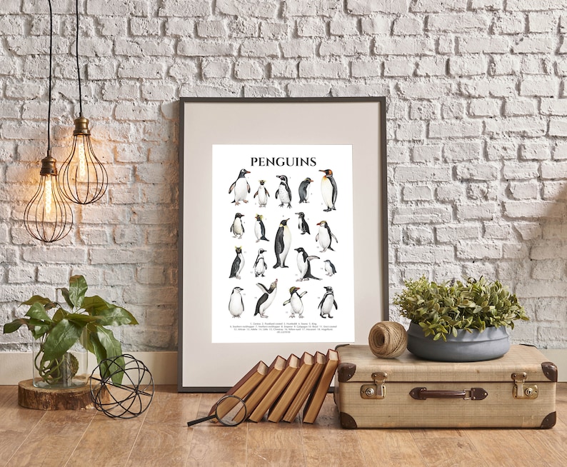 Penguins Poster Penguin Species Antarctica Animals Art - Etsy