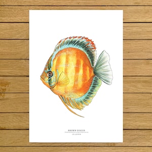 Discus Fish Print, Tropical Fish Print, Giclée Print, Watercolor Illustration, Yellow Wall Decor, Wall Art Decor, Home Decor, Nursery Decor