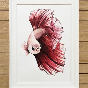 Red Betta Fish, Tropical Fish, Giclée Print, Watercolor illustration, Art, Home Decor, Nursery Decor, A5, 8.5x11, A4, A3, 13x19 image 4