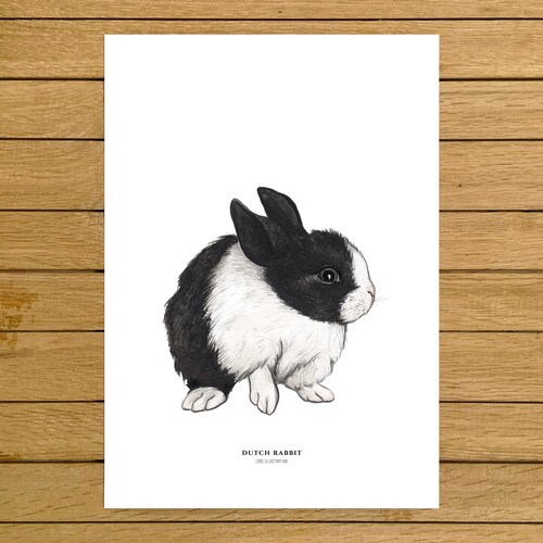 Bunny Print Holland Lop Rabbit Bunnies Animals Poster | Etsy