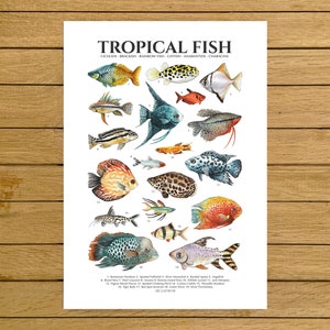 Tropischer Fisch Print, Fisch Poster, Giclée-Druck, Kinderzimmer Dekor, Tropical Home Decor, Fish Tank Poster, Kinderzimmer Wandkunst, Bunte Fische Art