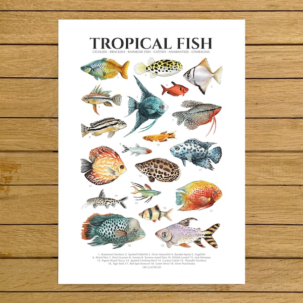 Fish Nursery Decor - Etsy