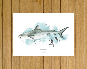 Grey Tiger Shark and Divers Print, Ocean Wall Art, Sharks Home Decor, Beach House Decor, Diving with Sharks Memory Gift, Divers and Sharks