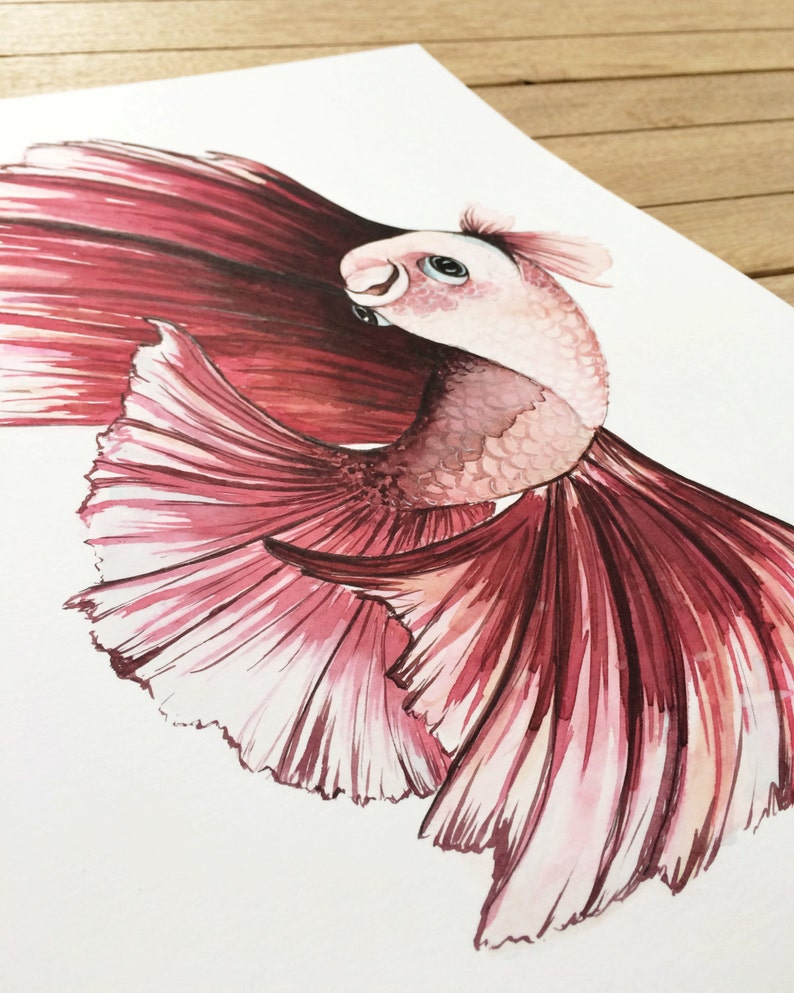 Red Betta Fish, Tropical Fish, Giclée Print, Watercolor illustration, Art, Home Decor, Nursery Decor, A5, 8.5x11, A4, A3, 13x19 image 3