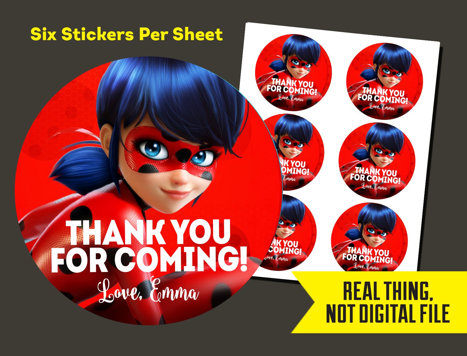 miraculous ladybug stickers miraculous ladybug birthday etsy