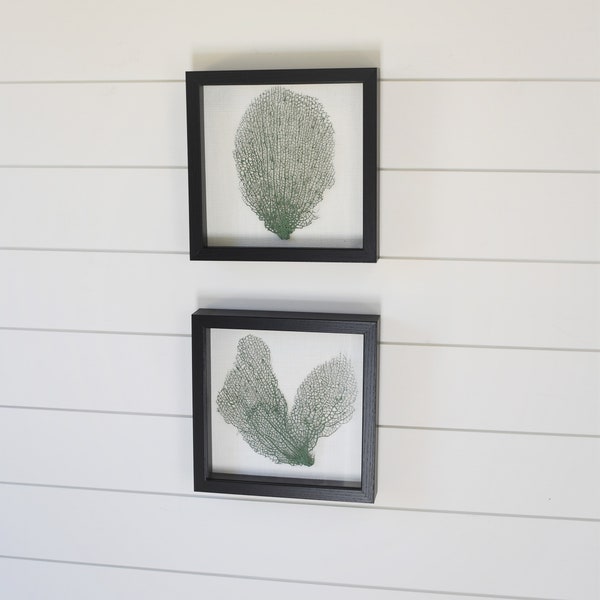 Sea Fan Wall Art Etsy