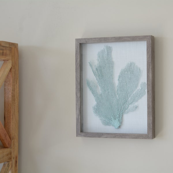 Framed Sea Fan, Seafoam -- Choice of Frame Color