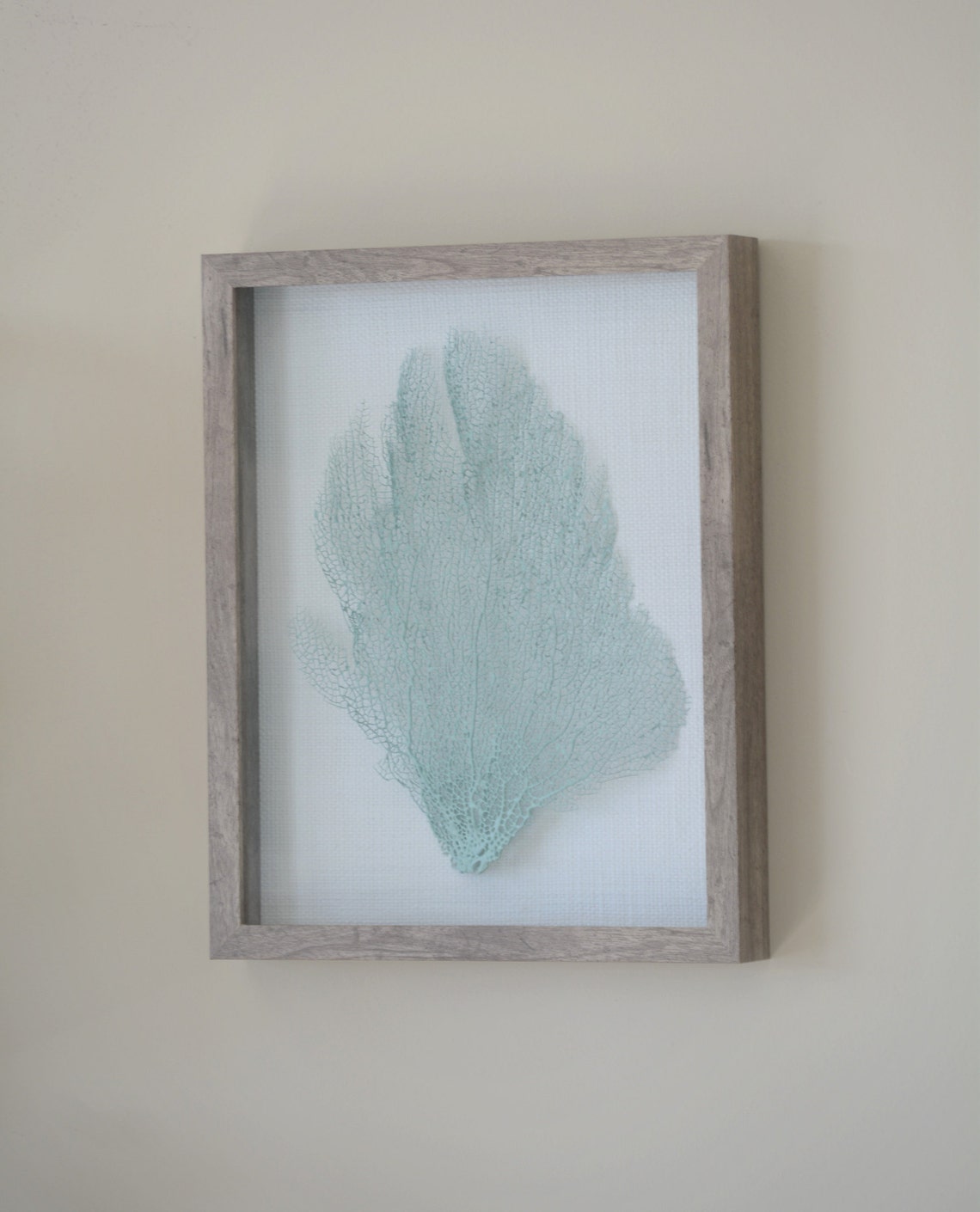 Framed Sea Fan Seafoam Choice of Frame Color - Etsy