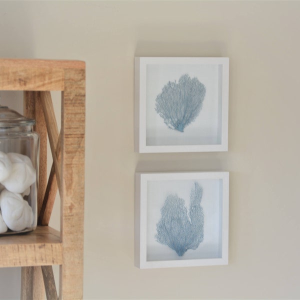 Pair of Framed Sea Fans, French Blue