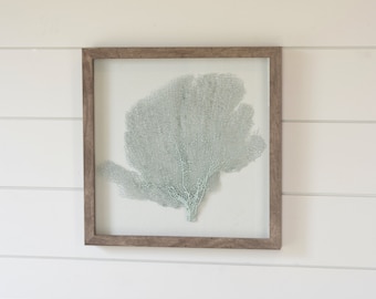 Framed Sea Fan, Seafoam