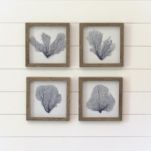 Set of 4 Framed Sea Fans, Nautical Blue or Coral Sea Fans