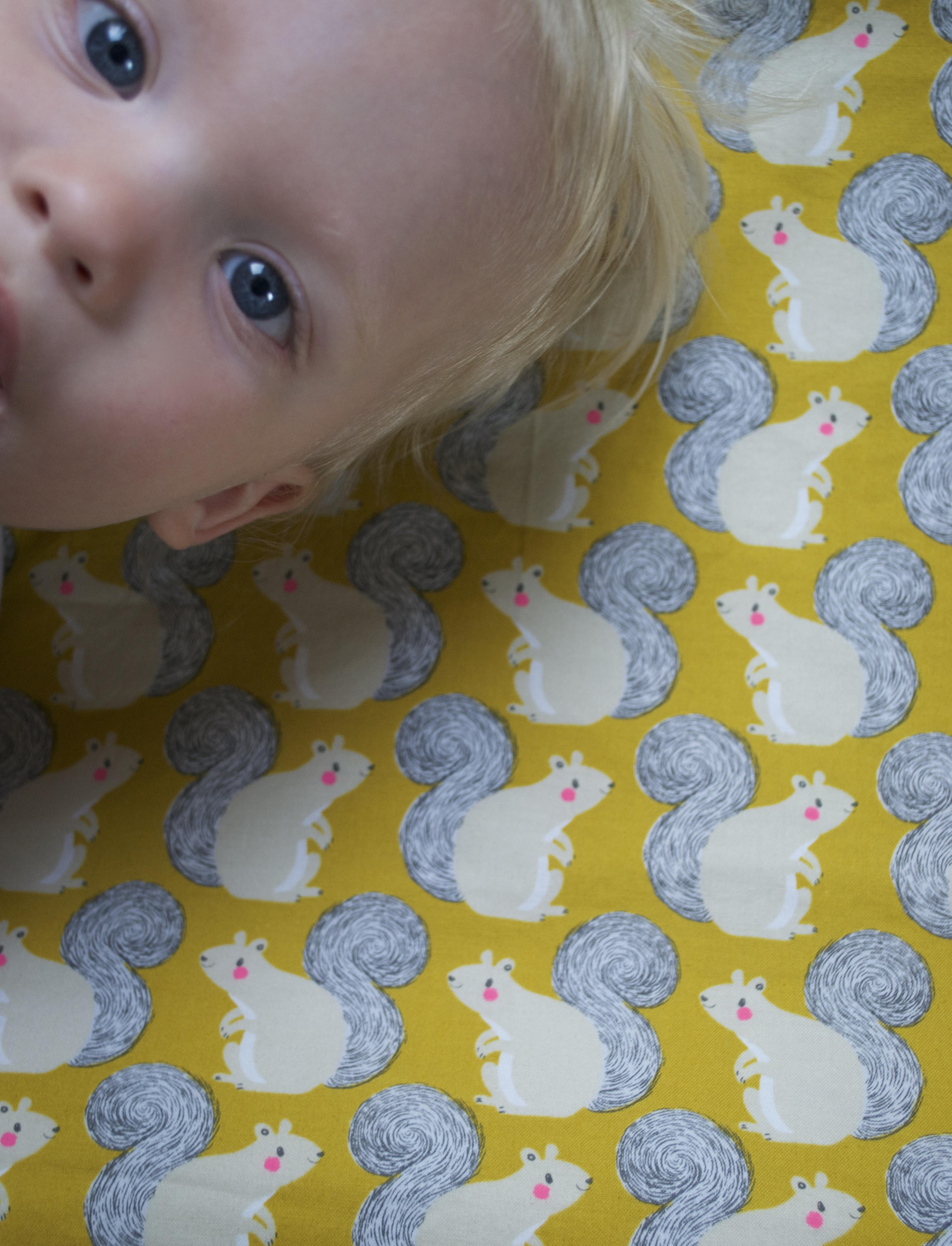 squirrel cirb sheet squirrel baby bedding crib bedding Etsy