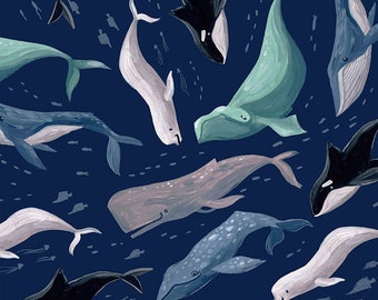 dolphin crib bedding