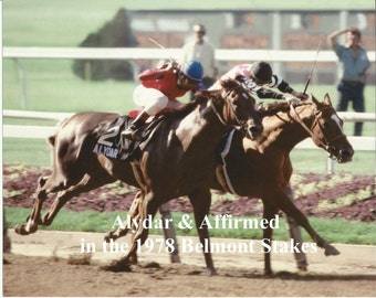 1978 Belmont Stakes Chart