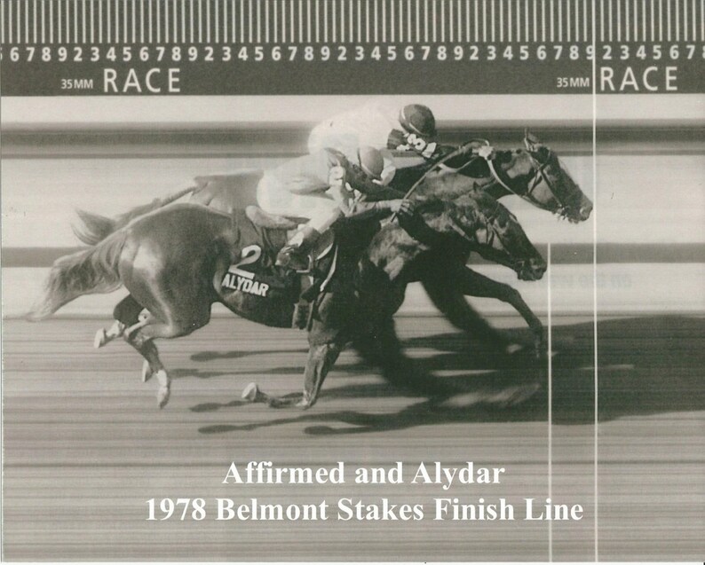 1978 Belmont Stakes Chart